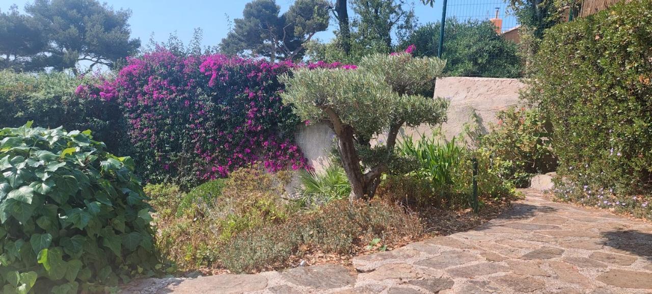 Villa Du Bau Rouge Carqueiranne Dış mekan fotoğraf