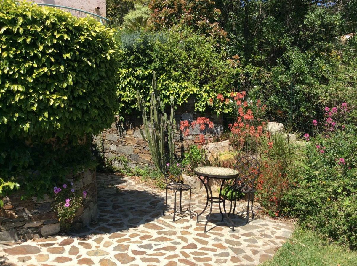 Villa Du Bau Rouge Carqueiranne Dış mekan fotoğraf